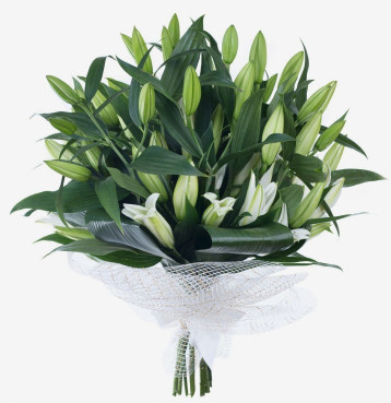 Bouquet of 12 Lilies