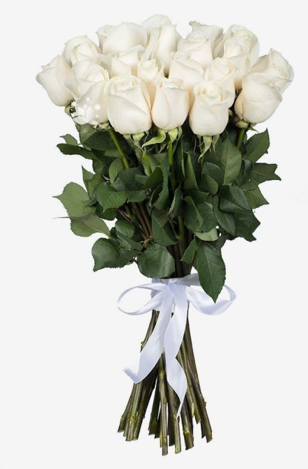 25 fehér rózsa