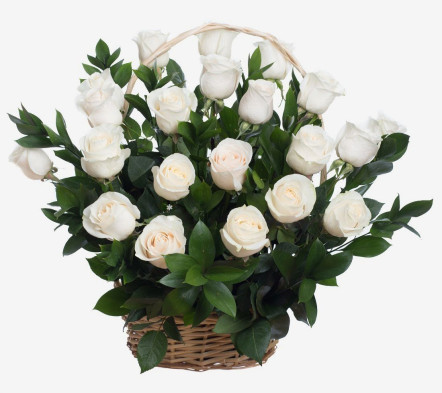 Fehér rózsa kosár
