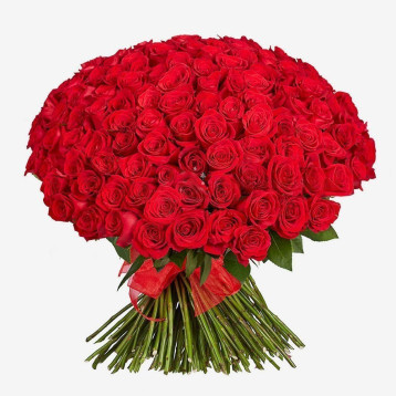 150 vörös rózsa