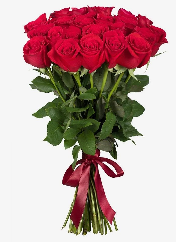 Red Roses